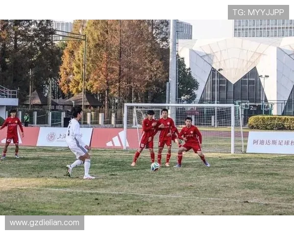 2024年足球赛场的璀璨新星预言与展望